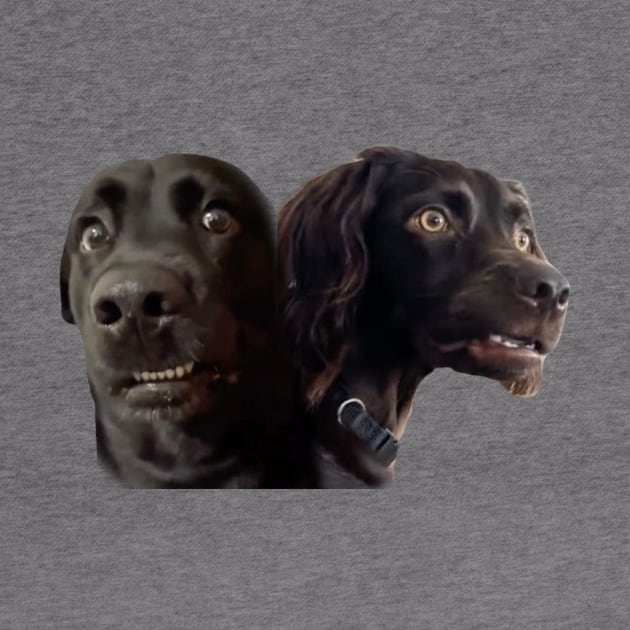 Confused Dogs Shirt, Awkward Dogs, Awkward Staring, Two Dogs Staring Matching by CamavIngora